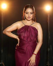 Glamorous Actress Deepika Singh Goyal in a Plum Halter Satin Gown Photos 02