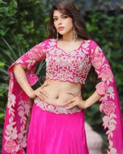 Glamorous Actress Mahima Gupta in a Pink Embroidered Lehenga Photos 01