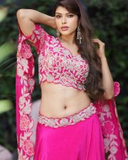 Glamorous Actress Mahima Gupta in a Pink Embroidered Lehenga Photos 02