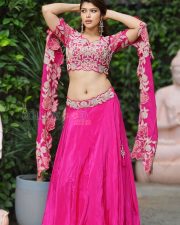 Glamorous Actress Mahima Gupta in a Pink Embroidered Lehenga Photos 03
