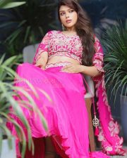 Glamorous Actress Mahima Gupta in a Pink Embroidered Lehenga Photos 05