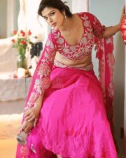 Glamorous Actress Mahima Gupta in a Pink Embroidered Lehenga Photos 07