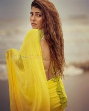 Glowing Actress Nikita Soni in a Yellow Saree Green Blouse Photos 04 Glowing Actress Nikita Soni in a Yellow Saree Green Blouse Photos 04