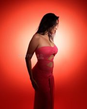 Hot Nuveksha in a Pink Cut Out Dress Pictures 05