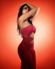 Hot Nuveksha in a Pink Cut Out Dress Pictures 06