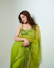 Laapataa Ladies Actress Pratibha Ranta in a Green Saree with a Sleeveless Blouse Pictures 03