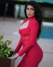 Sultry Actress Nikita Soni in a Hot Pink Corset Bodycon Dress Photos 07 Sultry Actress Nikita Soni in a Hot Pink Corset Bodycon Dress Photos 07