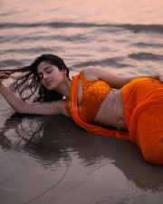 Wild Wild Punjab Actress Rose Sardana in a Vibrant Orange Saree with a Sleeveless Blouse Pictures 03