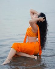 Wild Wild Punjab Actress Rose Sardana in a Vibrant Orange Saree with a Sleeveless Blouse Pictures 04