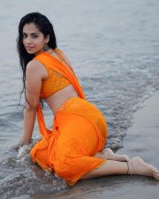 Wild Wild Punjab Actress Rose Sardana in a Vibrant Orange Saree with a Sleeveless Blouse Pictures 05