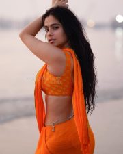 Wild Wild Punjab Actress Rose Sardana in a Vibrant Orange Saree with a Sleeveless Blouse Pictures 07