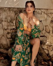 Actress and Model Divya Agarwal Sexy Pictures 02