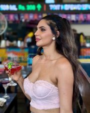 Alluring Manmeet Kaur Cleavage in a Pink Lace Bustier Corset Top Photos 01