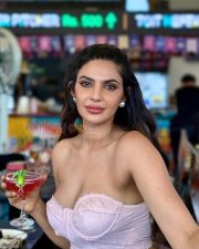 Alluring Manmeet Kaur Cleavage in a Pink Lace Bustier Corset Top Photos 02