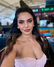 Alluring Manmeet Kaur Cleavage in a Pink Lace Bustier Corset Top Photos 03