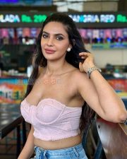 Alluring Manmeet Kaur Cleavage in a Pink Lace Bustier Corset Top Photos 04
