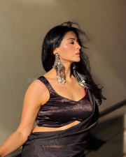 Enigmatic Actress Bhaweeka Chaudhary in a Dark Maroon Metallic Saree Photos 02