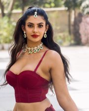 Fashionable Actress Manmeet Kaur in a Maroon Crop Top and White Pleated Skirt Photos 02