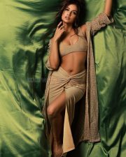 Glamorous Divyaa Agarwal in a Gold Bralette with a High Waisted Skirt and Matching Shrug Photos 01