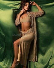 Glamorous Divyaa Agarwal in a Gold Bralette with a High Waisted Skirt and Matching Shrug Photos 04