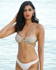 Hot Manmeet Kaur in a White Bikini Photos 03