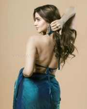 Operation Mayfair Actress Hritiqa Chheber in a Shimmering Metallic Teal Saree with a Matching Halter Neck Bikini Style Blouse Photos 04