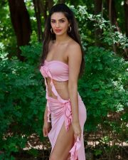 Stunning Actress Manmeet Kaur Virk in a Pink Strapless Bandeau High Slit Ruffle Skirt Photos 03