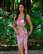 Stunning Actress Manmeet Kaur Virk in a Pink Strapless Bandeau High Slit Ruffle Skirt Photos 04