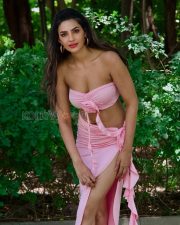 Stunning Actress Manmeet Kaur Virk in a Pink Strapless Bandeau High Slit Ruffle Skirt Photos 06