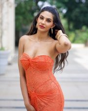 Tempting Manmeet Kaur Virk Cleavage in a Orange Lace Strapless Bodycon Dress Photos 07