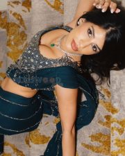 Mesmerizing Actress Jasmin Walia in a Teal Embellished Saree with Silver Crop Blouse Photos 01