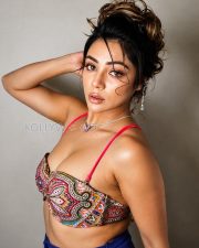 Entrancing Parnashree Halder Cleavage in a Multicolor Embroidered Bralette Top Photos 07