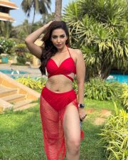 Stunning Navina Bole in a Two Piece Red Bikini Photos 01