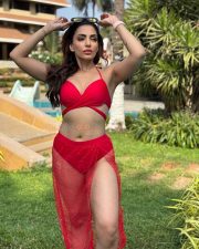 Stunning Navina Bole in a Two Piece Red Bikini Photos 03