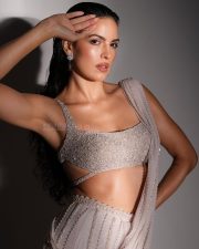 Stylish Natasha Stankovic in a Shimmery Silver Saree with Sleeveless Plunging Blouse Photos 01 Stylish Natasha Stankovic in a Shimmery Silver Saree with Sleeveless Plunging Blouse Photos 01