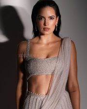 Stylish Natasha Stankovic in a Shimmery Silver Saree with Sleeveless Plunging Blouse Photos 03 Stylish Natasha Stankovic in a Shimmery Silver Saree with Sleeveless Plunging Blouse Photos 03