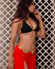 Tempting Shanu Dhekawa Cleavage in a Black Triangle Bikini Top Red Sarong Skirt Photos 03