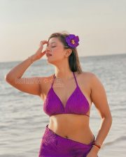 Carefree Actress Anjali Arora in a Purple Bikini Top And Sarong Photos 02 Carefree Actress Anjali Arora in a Purple Bikini Top And Sarong Photos 02