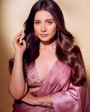Glamorous Actress Angana Roy in a Pink Satin Saree Photos 06 Glamorous Actress Angana Roy in a Pink Satin Saree Photos 06