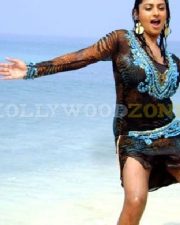 Glamorous Actress Malavika in a Black Sheer Animal Print Top Photos 42