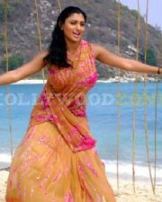 Glamorous Actress Malavika in a Golden Pink Sheer Saree Photos 36