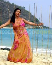Glamorous Actress Malavika in a Golden Pink Sheer Saree Photos 37