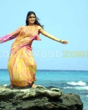 Glamorous Actress Malavika in a Golden Pink Sheer Saree Photos 38