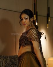 Intriguing Singer Neeti Mohan in a Metallic Bronze Sequined Bralette Style Top with a Brown Floor Length Skirt Pictures 07
