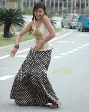 Vivid Actress Suhasi Dhami in a Gold Spaghetti Strap Top with Polka Dot Maxi Skirt Photos 184 Vivid Actress Suhasi Dhami in a Gold Spaghetti Strap Top with Polka Dot Maxi Skirt Photos 184