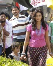 Vivid Actress Suhasi Dhami in a Pink V Neck Top with Purple Palazzo Pants Photos 134 Vivid Actress Suhasi Dhami in a Pink V Neck Top with Purple Palazzo Pants Photos 134