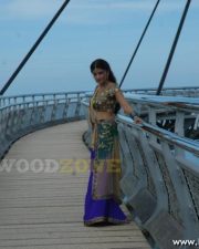 Vivid Actress Suhasi Dhami in a Purple Half Saree Lehenga with Embroidered Blouse Photos 153 Vivid Actress Suhasi Dhami in a Purple Half Saree Lehenga with Embroidered Blouse Photos 153