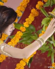 Vivid Actress Suhasi Dhami in a Purple Saree with Lime Green Blouse Photos 146 Vivid Actress Suhasi Dhami in a Purple Saree with Lime Green Blouse Photos 146
